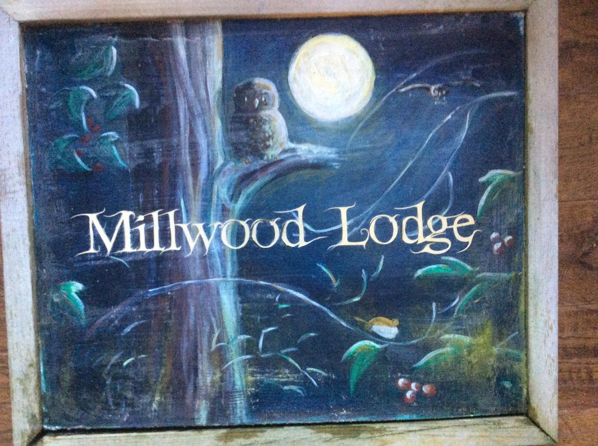 Millwood Lodge Barrow-in-Furness Exteriér fotografie